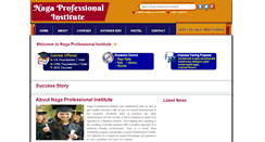 Desktop Screenshot of nagaprofessional.com